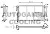 AUTOGAMMA 100230 Radiator, engine cooling